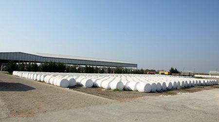 Ağcabədidə pambıq yığımı ötən ilə nisbətən məhsuldarlıq 17% yüksəlib