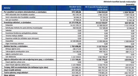 “Azsığorta”nın pul vəsaitləri son bir ildə 51% azalıb