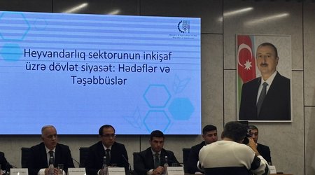 Azərbaycanın yumurta ixracı 11 ayda 35%-ə yaxın artıb – nazir