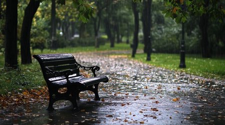 Sabahın hava proqnozu açıqlanıb