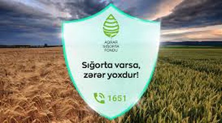 Qax və Zaqatala fermerlərinə 22 min manatlıq sığorta ödənişi verilib