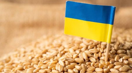 Молдова снимет ограничения на импорт зерна из Украины
