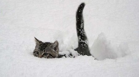 Temperatur 8 dərəcə enəcək- Qar yağacaq