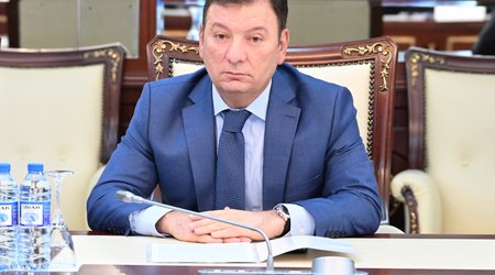 Məişət və azyaşlılara qarşı zorakılıqla bağlı qanunların icrası real nəticələr verir - Adil Vəliyev
