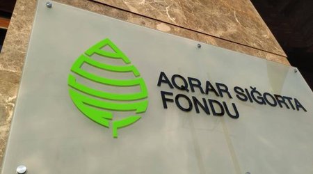 Şaxtavurmaya görə 1 milyon manata yaxın sığorta ödənişi verilib