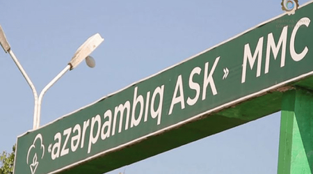 “Azərpambıq”ın ixrac gəliri 2025-ci ildə 31% azalıb