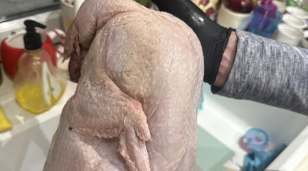 “Qaz” aldılar, toyuq çıxdı – AQTA naşirə reaksiya verib