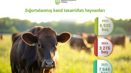 Azərbaycanda sığortalanan kənd təsərrüfatı heyvanlarının sayı iki dəfədən çox artıb