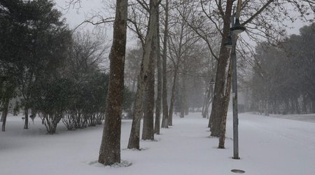 Sulu qar, qar yağacaq -SABAHIN HAVASI