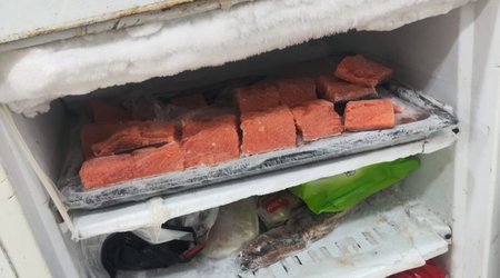 Bakıda suşi emalı müəssisəsinin fəaliyyəti müvəqqəti dayandırılıb