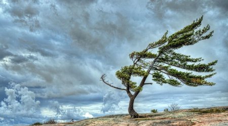 Bəzi yerlərdə külək güclənəcək -XƏBƏRDARLIQ