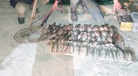 Kür çayında tok aparatı ilə qanunsuz balıq ovlayan 3 nəfər saxlanılıb