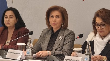 Qadınların hüquqlarının güclənməsi üçün qanunvericilik təkmilləşməlidir - Bahar Muradova