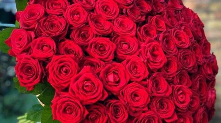 Rose imports from Netherlands recorded as Armenia in trade data — customs