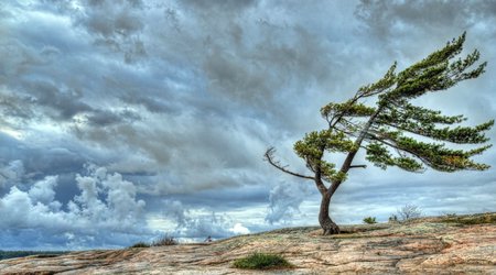 Azerbaijan weather service issues yellow, orange wind alerts
