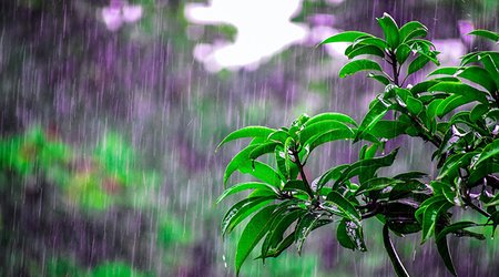 Güclü yağış yağacaq, temperatur kəskin enəcək - Xəbərdarlıq