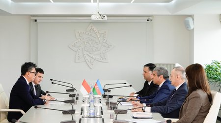 Anar Əliyev İndoneziya səfiri ilə görüşüb
