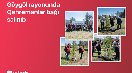 “Qəhrəmanlar bağı” initiative implemented in Goygol