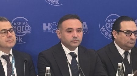 “Caspian Agro Week” sərgisində xarici ölkələrin sayında təxminən 50 faiz artım var- Anar Cəfərov