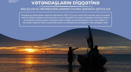 Azərbaycanda bu gündən balıq ovu qadağan edilib