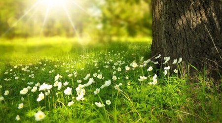 Завтра в Баку воздух прогреется до 19°, в регионах - до 24°