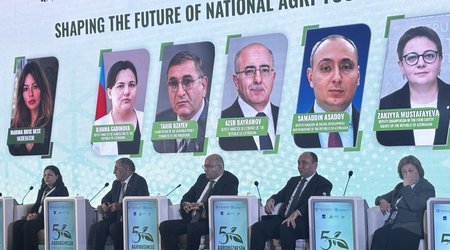 Deputat: Bu il planlaşdırma olmadığından soğan və kartofun qiyməti ucuz olub