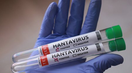 Хантавирус выявлен в Испании и на принадлежащем Британии архипелаге