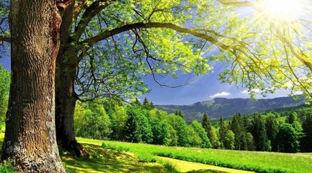 Sabahın hava proqnozu açıqlanıb