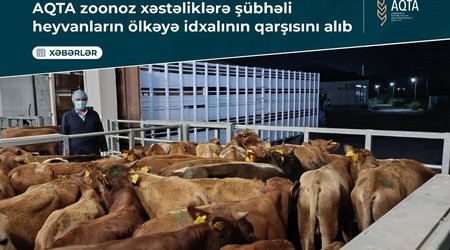 Zoonoz xəstəlik şübhəsi olan heyvanların Azərbaycana idxalının qarşısını alıb