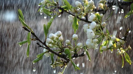 Hava ilə bağlı xəbərdarlıq