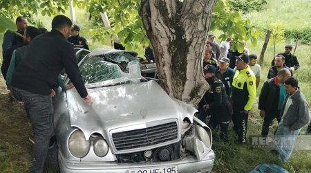 Oğuzda avtomobil ağaca çırpılıb, xəsarət alanlar var