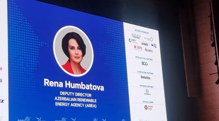 Arktikada dəyişikliklər sürətlənir – AREA rəsmisi iqlim risklərindən danışıb