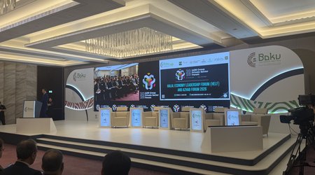 Azerbaijan can become regional SDG finance hub, UN official says