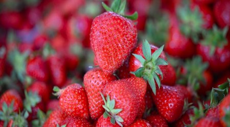 Azerbaijan inflation holds at 5.6% in January-May