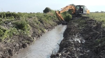 Climate change requires review of Azerbaijan’s agricultural policy, deputy head says