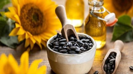 Oil World forecasts largest sunflower crop in five years