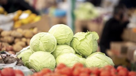 Экспорт фруктов и овощей из Азербайджана вырос на 19% в первом полугодии