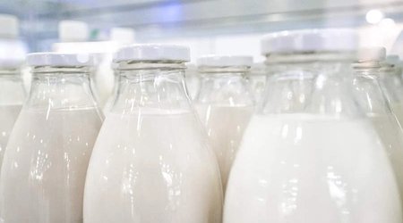 Anormal istilər Fransada kənd təsərrüfatına zərbə vurub, süd istehsalında itkilər 30%-ə çata bilər