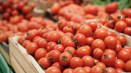 Сельхозпроизводство в Азербайджане выросло на 2,2% в первом полугодии