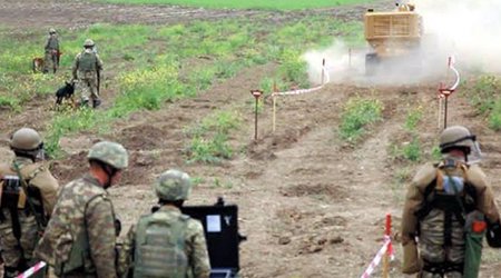 Azerbaijan clears 965 mines and unexploded munitions in liberated areas in one week