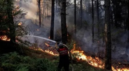 Türkiyədə meşə yanğınları ilə bağlı 11 nəfər həbs edildi