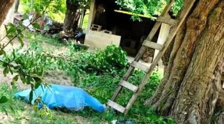 Əncir yığmaq üçün ağaca dırmaşan kişi yıxılaraq ölüb