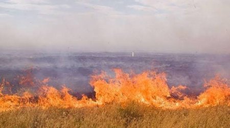 В Агдаме горит территория площадью 30 гектаров