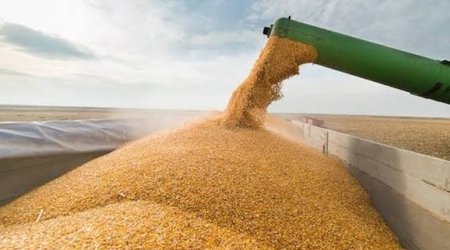 Еще 700 тонн зерна из России направлены транзитом через Азербайджан в Армению