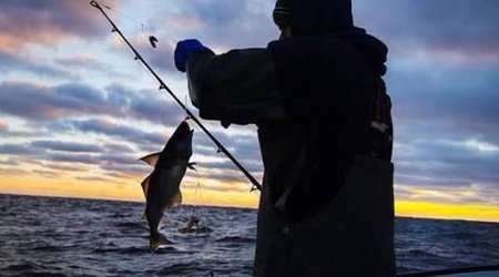 Azerbaijan to Digitize Fishing Quotas and Catch Registration to Curb Illegal Trade