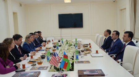 Временная поверенная США и глава Исмаиллы обсудили развитие региона