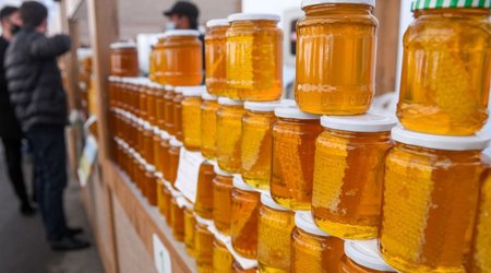 Baku to Host 26th National Beekeeping Fair as Registration Opens Sept 7