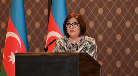 Сахиба Гафарова находится с рабочим визитом в Швейцарской Конфедерации