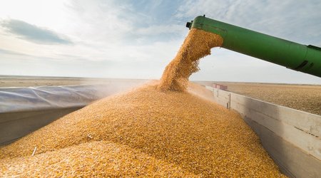 1,4 milyon hektar əkin sahəsinin 80%-dən çoxu taxıl sahələridir