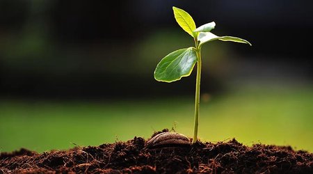 Aqrar sığorta 90%-dən çox əkin sahəsini əhatə edir – Yeni bitkilər də əlavə olunacaq
